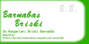 barnabas briski business card