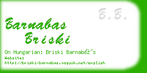 barnabas briski business card